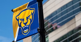 panther logo on a flag on campus
